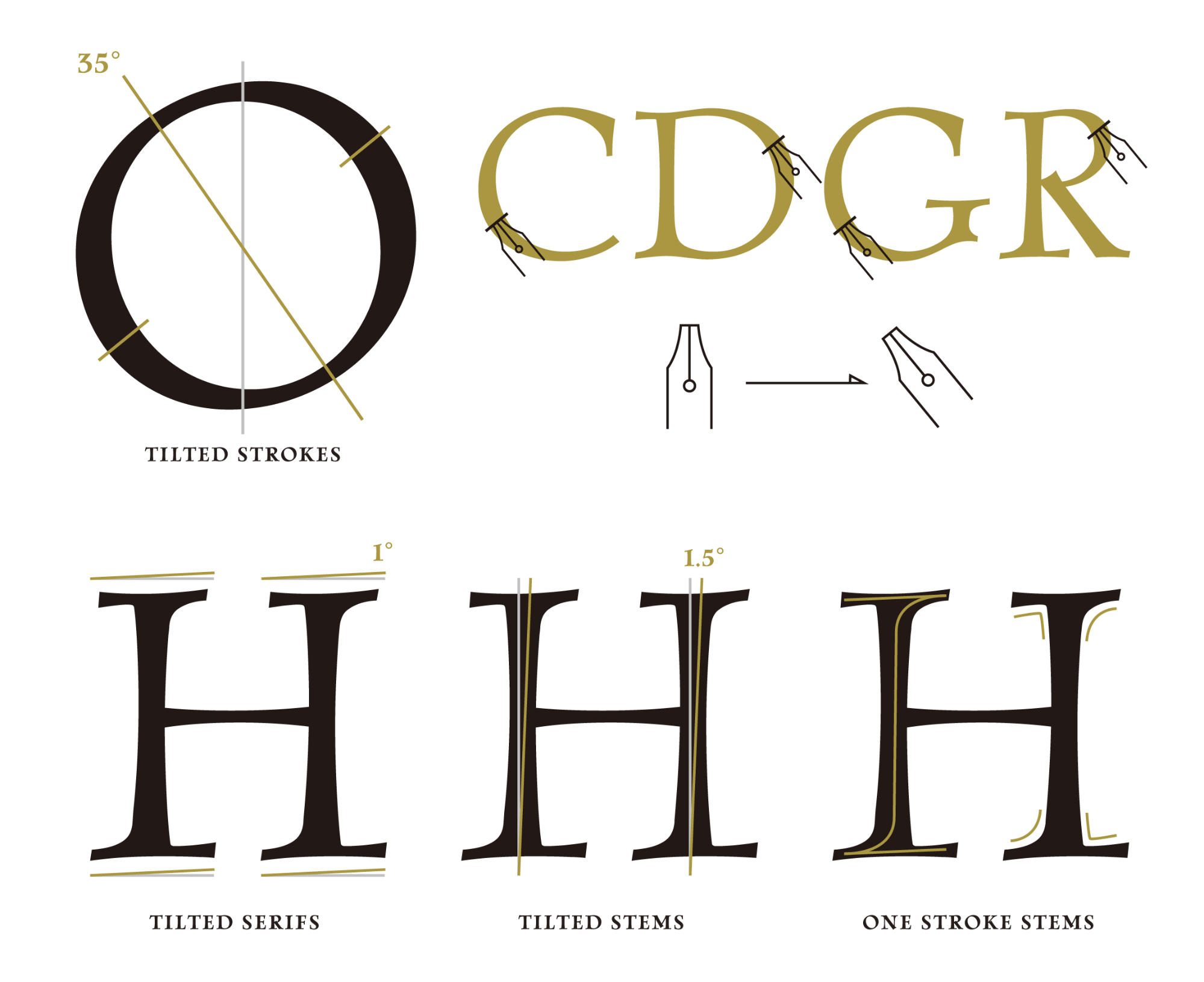 DONGURIのタイポグラフィー